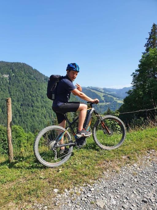Appartement La Duchère Le Plan-la Giettaz massif des Aravis Extérieur photo