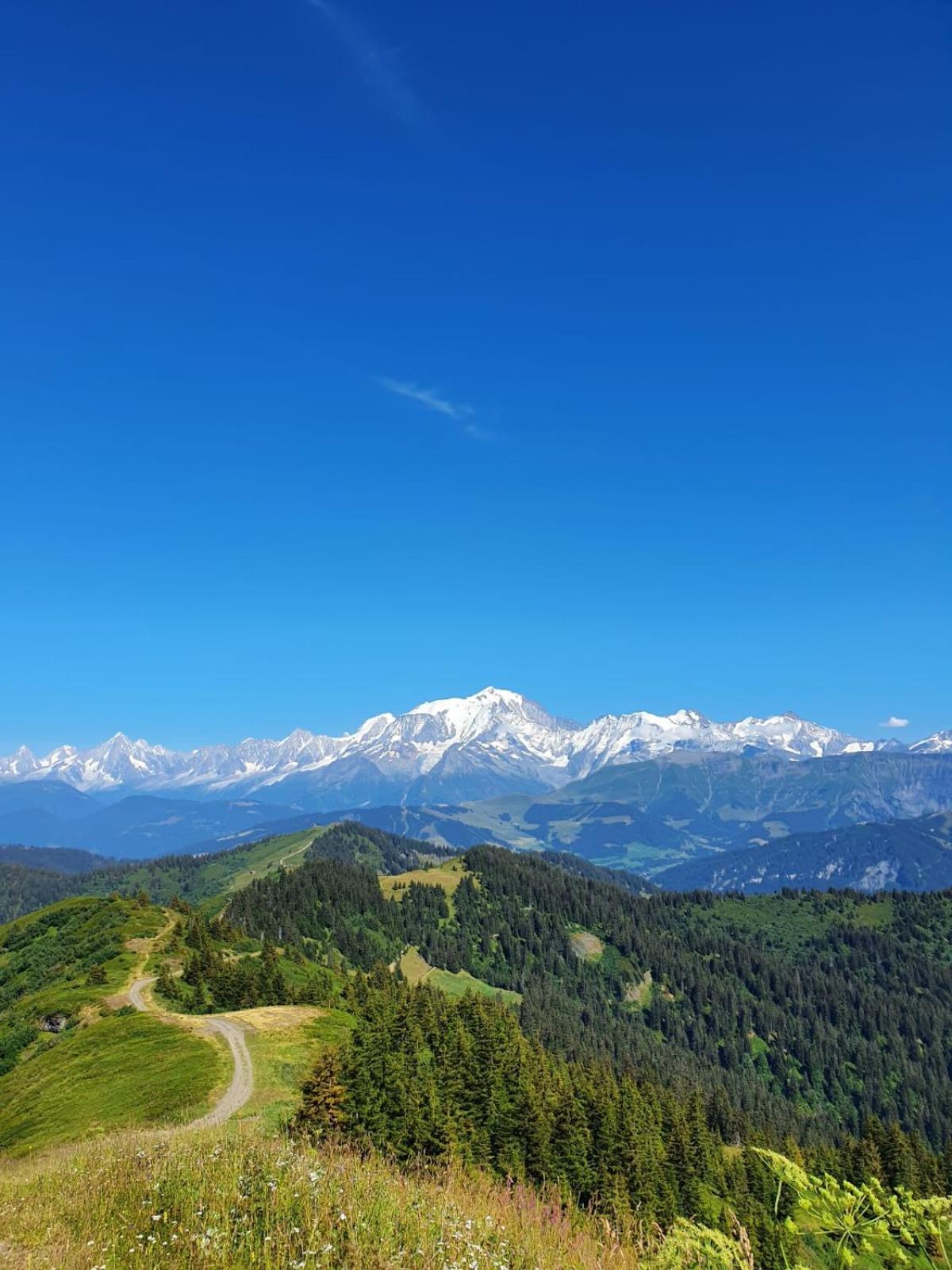 Appartement La Duchère Le Plan-la Giettaz massif des Aravis Extérieur photo