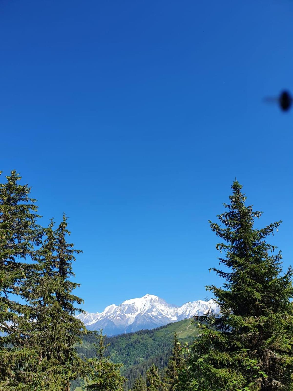 Appartement La Duchère Le Plan-la Giettaz massif des Aravis Extérieur photo